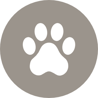 Dog wash and self-service grooming area
